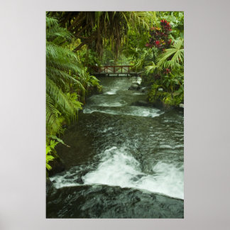 Cosra Rica Dream Poster