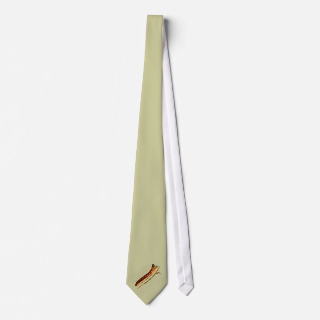 Cossus cossus caterpillar tie (Front)