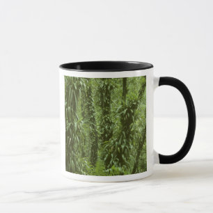 Costa Rica, Arenal National Park, rainforest Mug