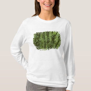 Costa Rica, Arenal National Park, rainforest T-Shirt