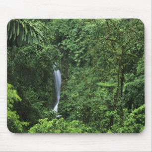 Costa Rica, Arenal Volcano area, Hanging Bridges Mouse Pad