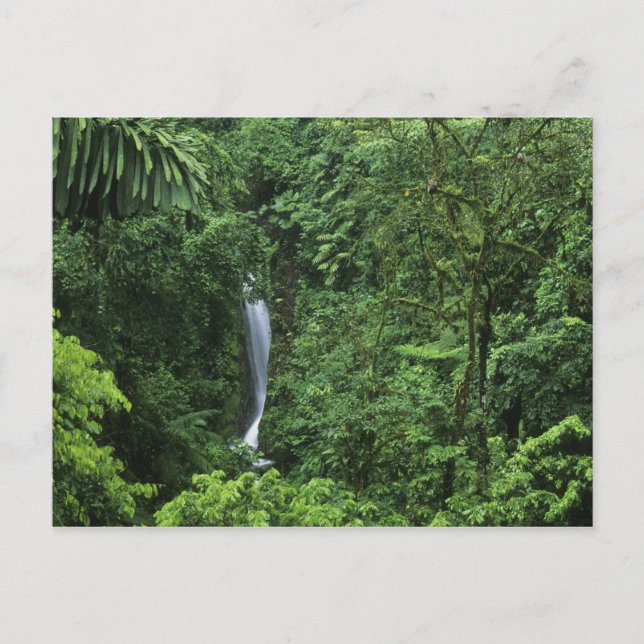 Costa Rica, Arenal Volcano area, Hanging Bridges Postcard (Front)