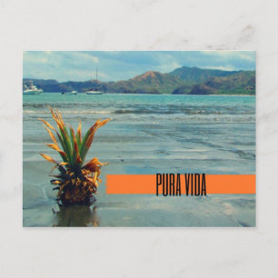 Costa Rica Beach Pura Vida Postcard