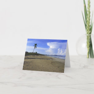 Costa Rica Beach with Palm Tree Photo Folded Note Card