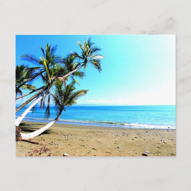 Costa Rica, beach with palm tree Postcard (Front)