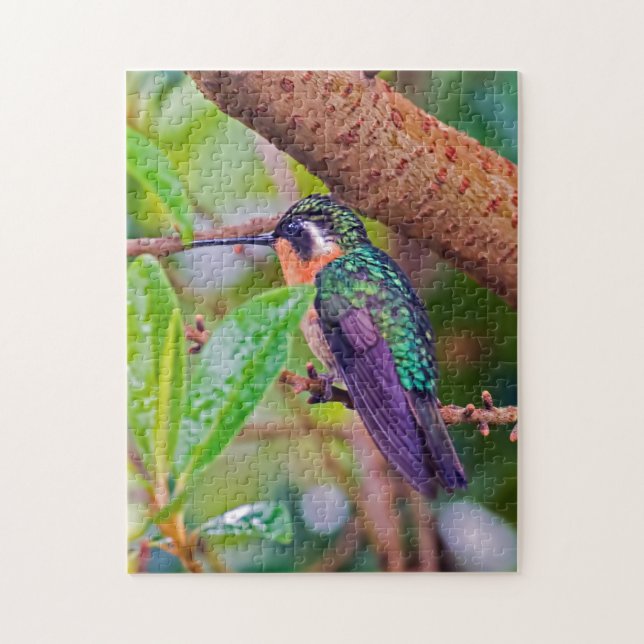 Costa Rica bird - Fiery-throated Hummingbird Jigsaw Puzzle (Vertical)
