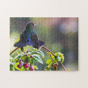Costa Rica bird - Fiery-throated Hummingbird Jigsaw Puzzle