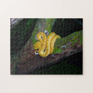 Costa Rica, Cahuita National Park - Eyelash viper Jigsaw Puzzle