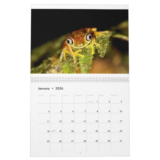 Costa Rica Calendar (Jan 2026)