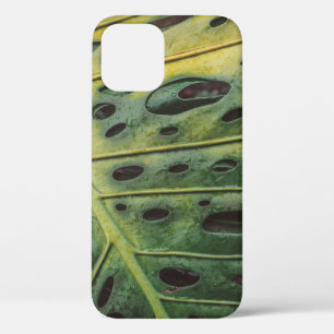 Costa rica iPhone 12 case