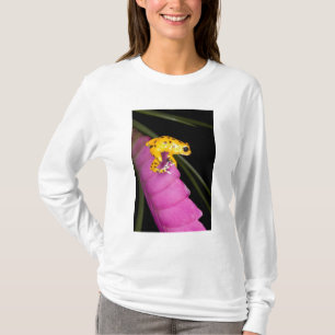 Costa Rica. Close-up of poison dart frog T-Shirt