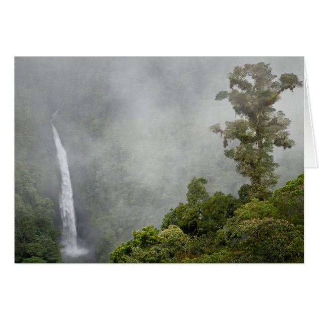 Costa Rica, cloud forest in mountains near La (Front Horizontal)