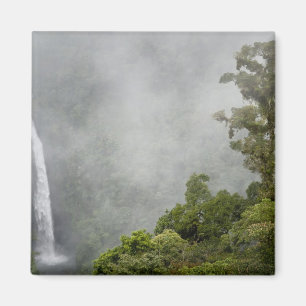 Costa Rica, cloud forest in mountains near La Magnet