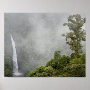Costa Rica, cloud forest in mountains near La Poster