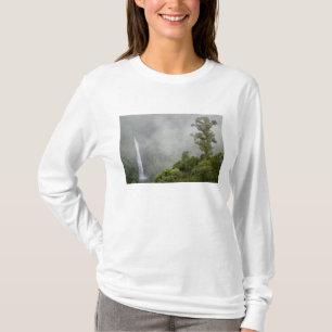 Costa Rica, cloud forest in mountains near La T-Shirt