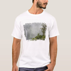 Costa Rica, cloud forest in mountains near La T-Shirt