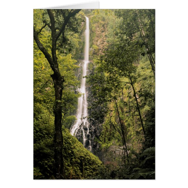 Costa Rica, Cocos Island, Wafer Bay Waterfall (Front)