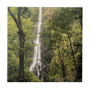 Costa Rica, Cocos Island, Wafer Bay Waterfall Ceramic Tile