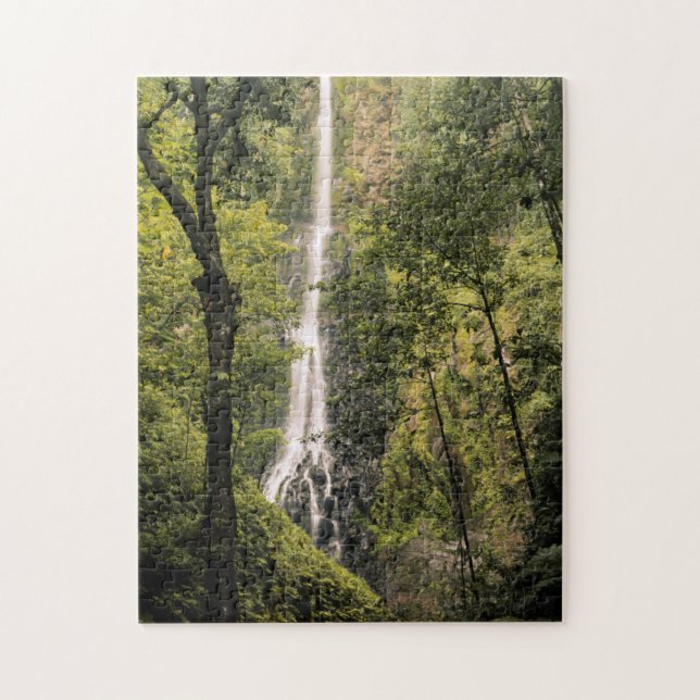 Costa Rica, Cocos Island, Wafer Bay Waterfall Jigsaw Puzzle (Vertical)