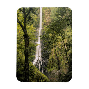 Costa Rica, Cocos Island, Wafer Bay Waterfall Magnet