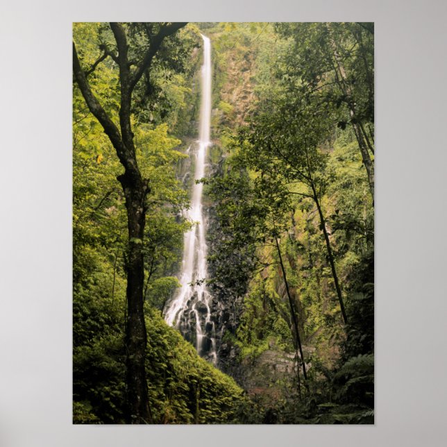 Costa Rica, Cocos Island, Wafer Bay Waterfall Poster (Front)