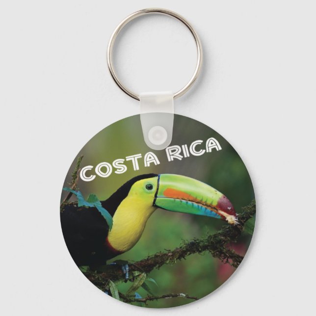 Costa Rica Colourful Toucan Bird Key Ring (Front)