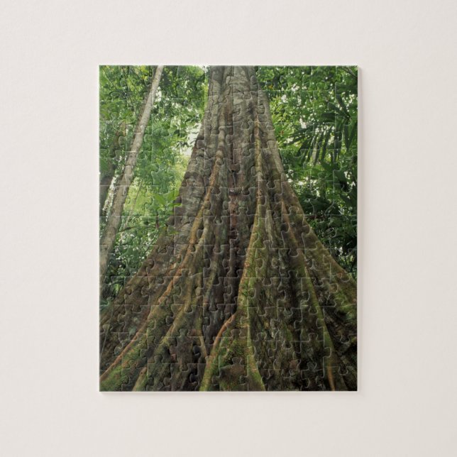 Costa Rica, Corcovado National Park, Buttressed Jigsaw Puzzle (Vertical)