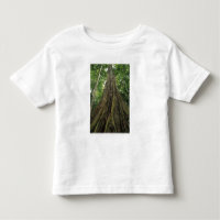 Costa Rica, Corcovado National Park, Buttressed