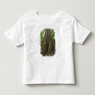 Costa Rica, Corcovado National Park, Buttressed Toddler T-Shirt