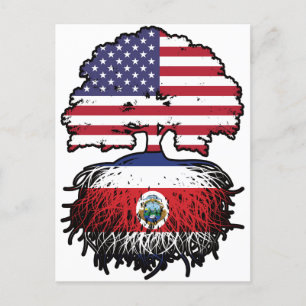Costa Rica Costa Rican American USA Tree Roots Postcard