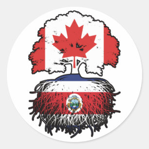 Costa Rica Costa Rican Canadian Canada Tree Roots Classic Round Sticker