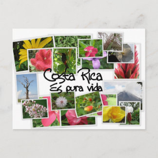 Costa Rica es Pura Vida! Postcard