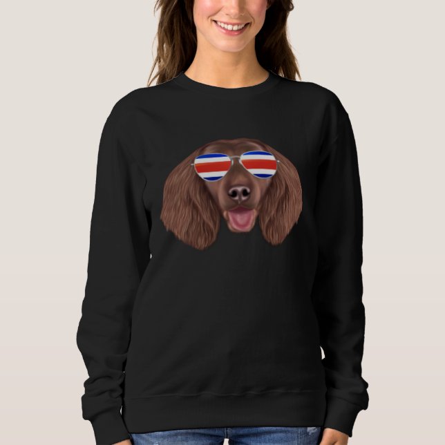 Costa Rica Flag American Water Spaniel Dog Tico Po Sweatshirt (Front)