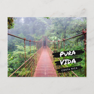 Costa Rica Hanging Bridges Vacation  Postcard