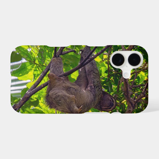 Costa Rica - Happy  Lazy Sloth, Antonio Manuel NP (Back (Horizontal))