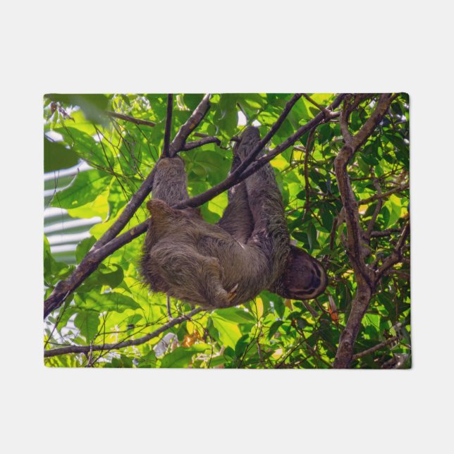 Costa Rica - Happy  Lazy Sloth, Antonio Manuel NP  Doormat (Front)