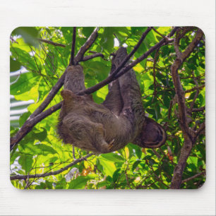 Costa Rica - Happy  Lazy Sloth, Antonio Manuel NP Mouse Pad