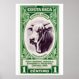 Costa Rica Horned Cow Art Print, Vintage Postage Poster