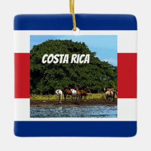 Costa Rica - Horses by the Water Ceramic Ornament