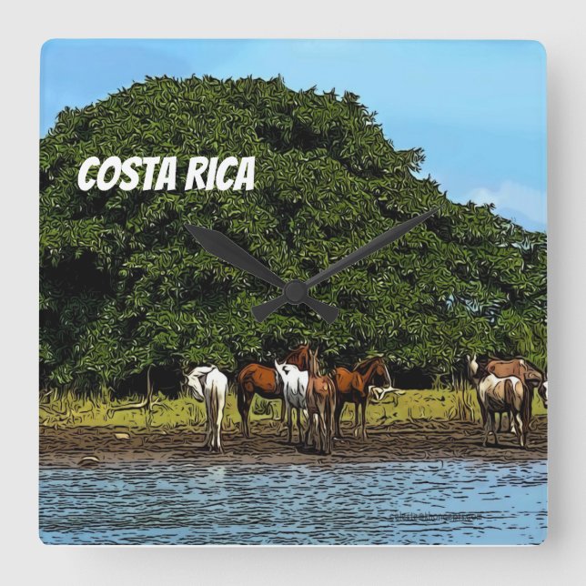 Costa Rica - Horses by the Water Square Wall Clock (Front)