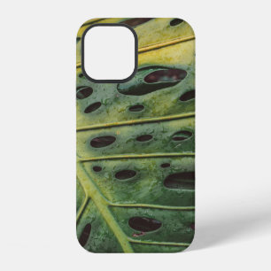 Costa rica iPhone 12 case