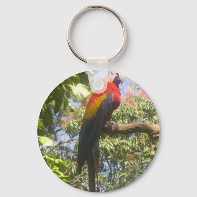 Costa Rica Macaw Key Ring (Front)
