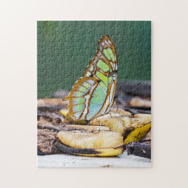 Costa Rica - Malachite butterfly Jigsaw Puzzle (Vertical)