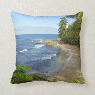 Costa Rica, Manzanillo Wildlife Refuge Cushion