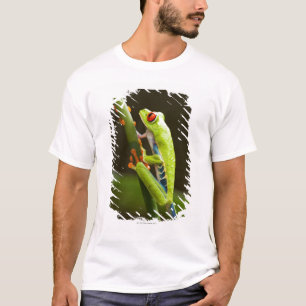 Costa Rica, Monteverde, Red-Eyed Tree Frog T-Shirt