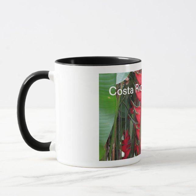 Costa Rica mug (Left)