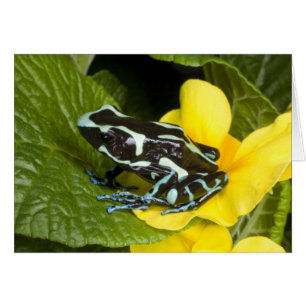 Costa Rica, Osa Peninsula