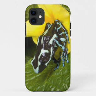 Costa Rica, Osa Peninsula iPhone 11 Case