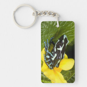 Costa Rica, Osa Peninsula Key Ring