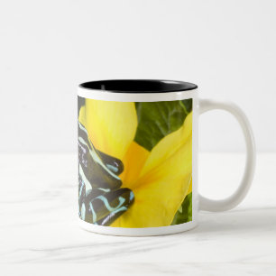 Costa Rica, Osa Peninsula Two-Tone Coffee Mug